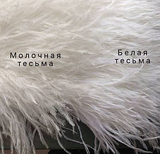 Пір'яна тасьма з натурального пір'я молочного кольору. Пір'я страуса на стрічці 10-15 см, Ціна за 3 м.