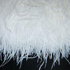 Пір'яна тасьма з натурального пір'я білого кольору. Пір'я страуса на стрічці 10-15 см, Ціна за 3 м., фото 3