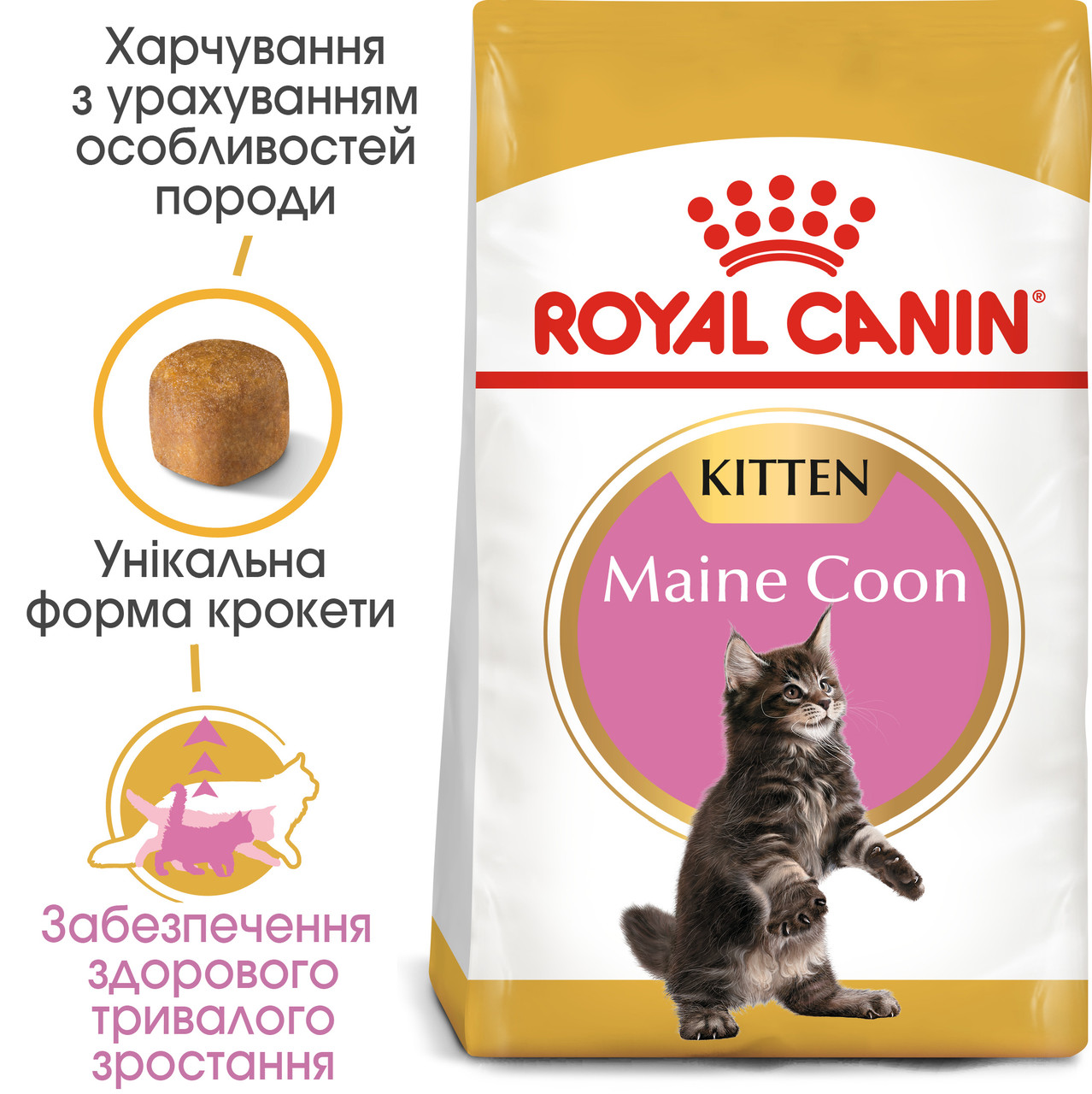 Сухий корм Royal Canin Kitten Maine Coon для кошенят, 2КГ