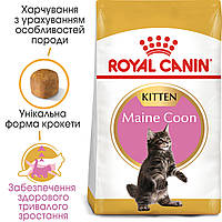 Сухой корм Royal Canin Kitten Maine Coon для котят, 2КГ