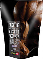 Креатин Creatine Power Pro 500 г Виноград