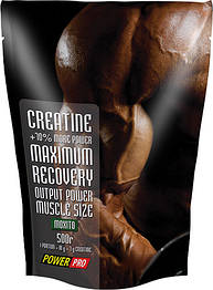 Креатин Creatine Power Pro 500 г Мохіто