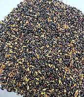 Семена суданской травы Голубовская 25 (сорго суданское), сидерат и кормовая культура