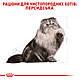 Акція! Сухий корм Royal Canin Persian (Роял Канін Персіан) для кішок, 4КГ + Catsan 5 л, фото 3