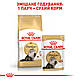 Акція! Сухий корм Royal Canin Persian (Роял Канін Персіан) для кішок, 4КГ + Catsan 5 л, фото 6