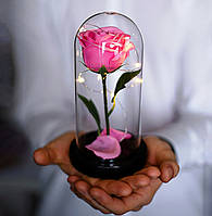 Вечная роза в колбе с диодной LED подсветкой на подставке Роза под стеклянным куполом РОЗОВАЯ