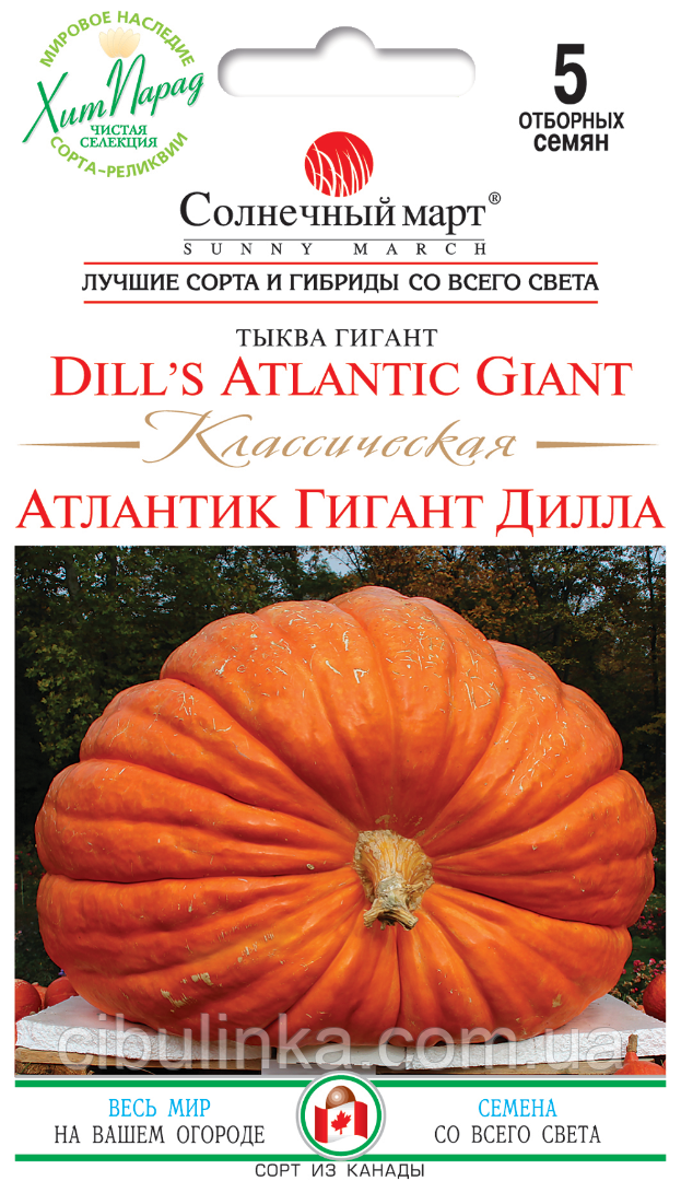 Гарбуз Атлатик Класична Сонячний Март 5 шт., фото 1