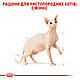 Сухий корм Royal Canin Sphynx 33 (Роял Канін Сфінкс) для кішок 10 КГ, фото 2