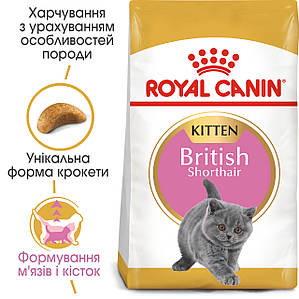 Сухий корм Royal Canin Kitten British для кошенят британської кішки, 2КГ