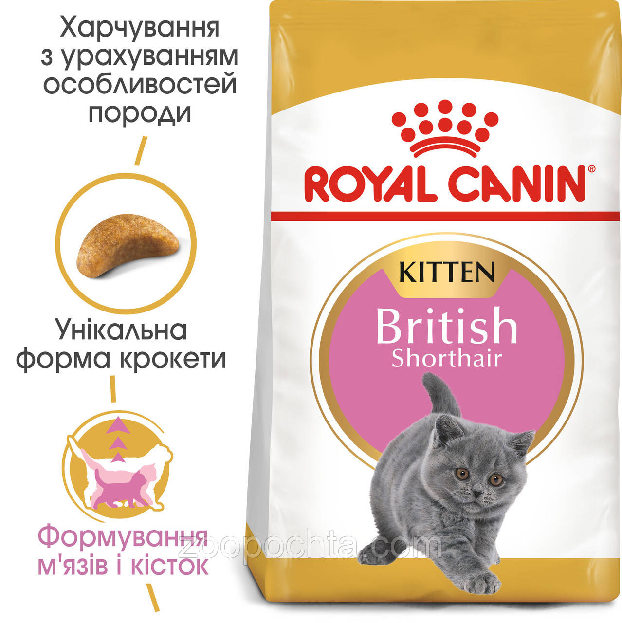 Сухий корм Royal Canin Kitten British для кошенят британської кішки, 10КГ