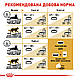 Сухий корм Royal Canin British Adult (Роял Канін Брітіш Шортхеа) для британських кішок, 4 КГ, фото 7