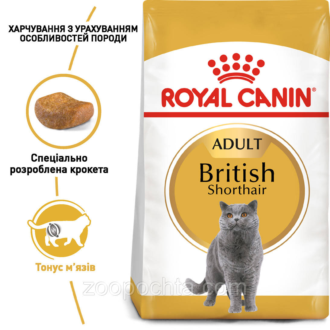 Сухий корм Royal Canin British Adult для британських кішок, 4КГ