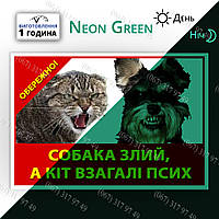 На металле неон Табличка Осторожно собака злой А кот вообще дебил - светится в темноте ночью изготовим за 1час