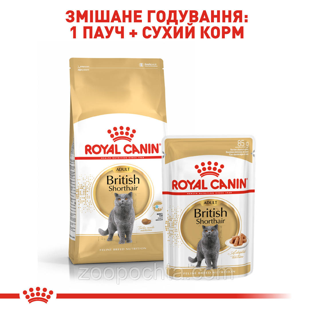 Сухой корм Royal Canin British Adult для британских кошек, 10КГ - фото 5 - id-p286229231