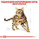 Сухий корм Royal Canin Bengal Adult (Роял Канін Бенгал) для котів від 1 року 2 КГ, фото 3
