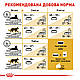 Сухий корм Royal Canin Bengal Adult (Роял Канін Бенгал) для котів від 1 року 2 КГ, фото 7
