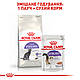 Акція! Сухий корм Royal Canin Sterilised для котів, 8 кг + 12 паучів Royal Canin Sensory Multipack у подарунок!, фото 8