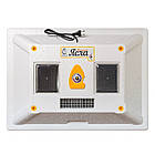 Брудер Теплу (Яслі) для курчат, бройлерів, перепілів місткість до 100 голів, фото 4