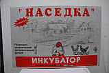 Інкубатор "Насидка" ДБ-100 з механічним переворотом і цифровим терморегулятором., фото 2