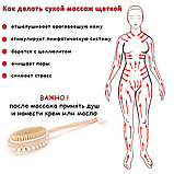 Антицелюлітний набір Maxi Green - Щітка + масло + скраб + холодне обгортання, фото 7