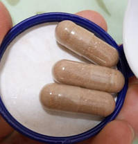 Гриби рейші Now Rei-Shi Mushroom 270 mg 100 veg caps, фото 5
