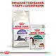 Акція! Сухий корм Royal Canin Sterilised 7+ для кастрованих кішок старше 7 років 1.2 кг + 300 гр у подарунок, фото 7