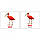 Міні-картки Домана "Птахи/Birds" Вундеркінд з пелюшок., фото 3