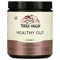 Terra Origin Healthy Gut 243 г (4384304109)