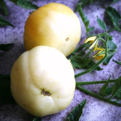 Насіння томатів Мікадо білий