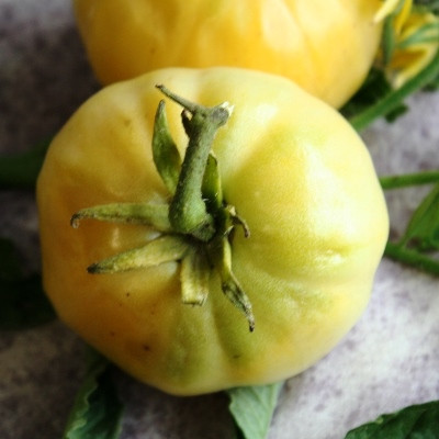 Насіння томатів Пломбір білий