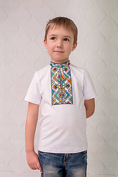 Вишиванка для хлопця Райдуга