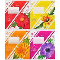 Від 20 шт. Зошит кольоровий 12 листів, лінія "2544" D  купити дешево оптом в інтернет-магазині