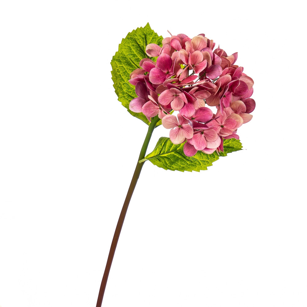 Штучні квіти "Гортензія Papillon" фуксія 60 см