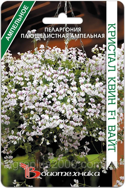 Насіння Пеларгонія плющелінна ампельна Кристал Квін F1 Вайт 5 насіння Біотехніка