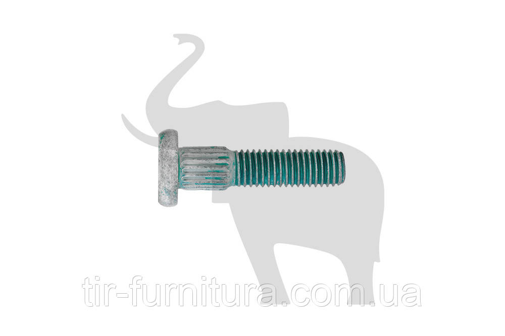 Болт Ø10 SCHMITZ 820913, фото 1