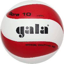 М'яч волейбольний Gala Bora10 BV5671SC