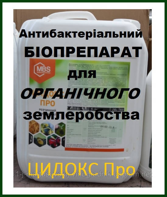 Біофунгицид ЦИДОКС ПРО "Мінералис", антибіотик, антисептик, 10 л