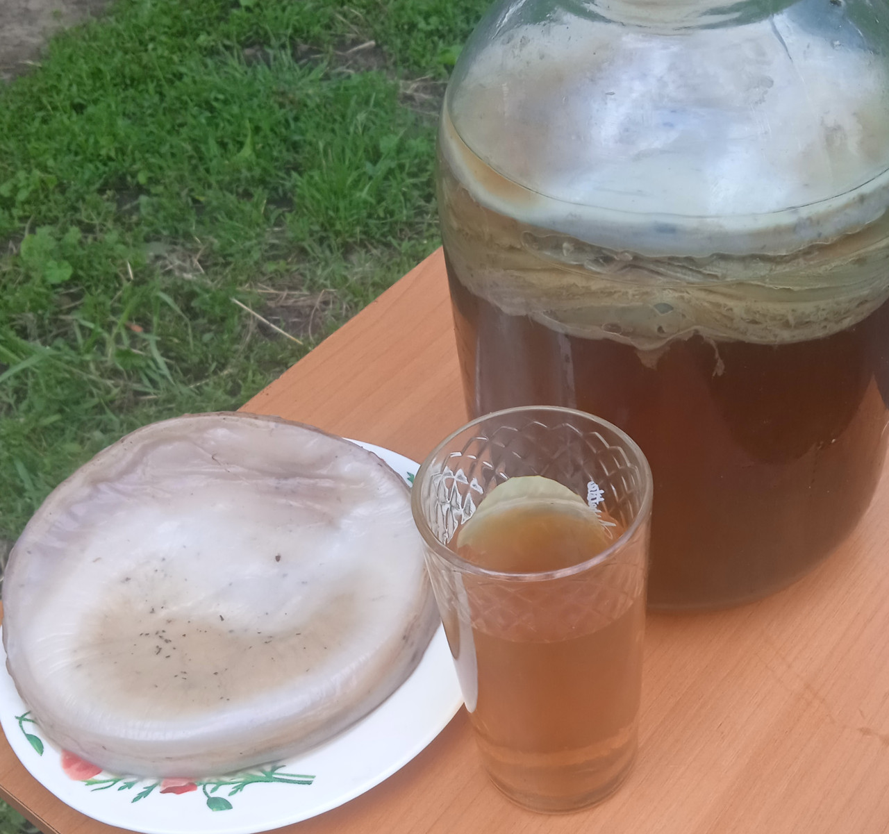 Чайний гриб живий, камбуча, чайний квас. (антибактеріальне, протизапальне, тонізувальне властивості)