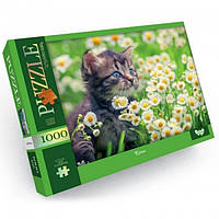 Пазлы Danko Toys 1000 элементов 680*475 арт.C1000-12-03