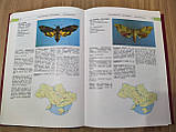 Червона книга України. Тваринний світ, фото 6