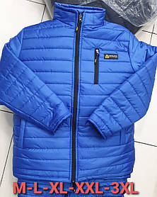 Куртка мужская ветровка на синтепоне норма (M-3XL) Турция оптом 87081