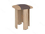 Табурет 3 Преміум (Пехогін) 350х350х450 мм, фото 4