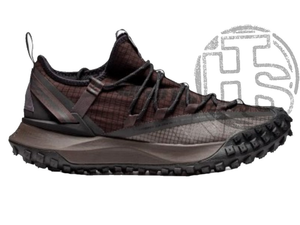 Чоловічі кросівки Nike ACG Mountain Fly Low Brown Basalt DC9045-200