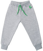 Штани дитячі на манжетах та зручному широкому поясі для хлопчика GABBI Зооленд Сірий на зріст 62 (11464)