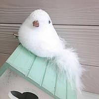 Пташка біла 20 см із хвостиком велика.