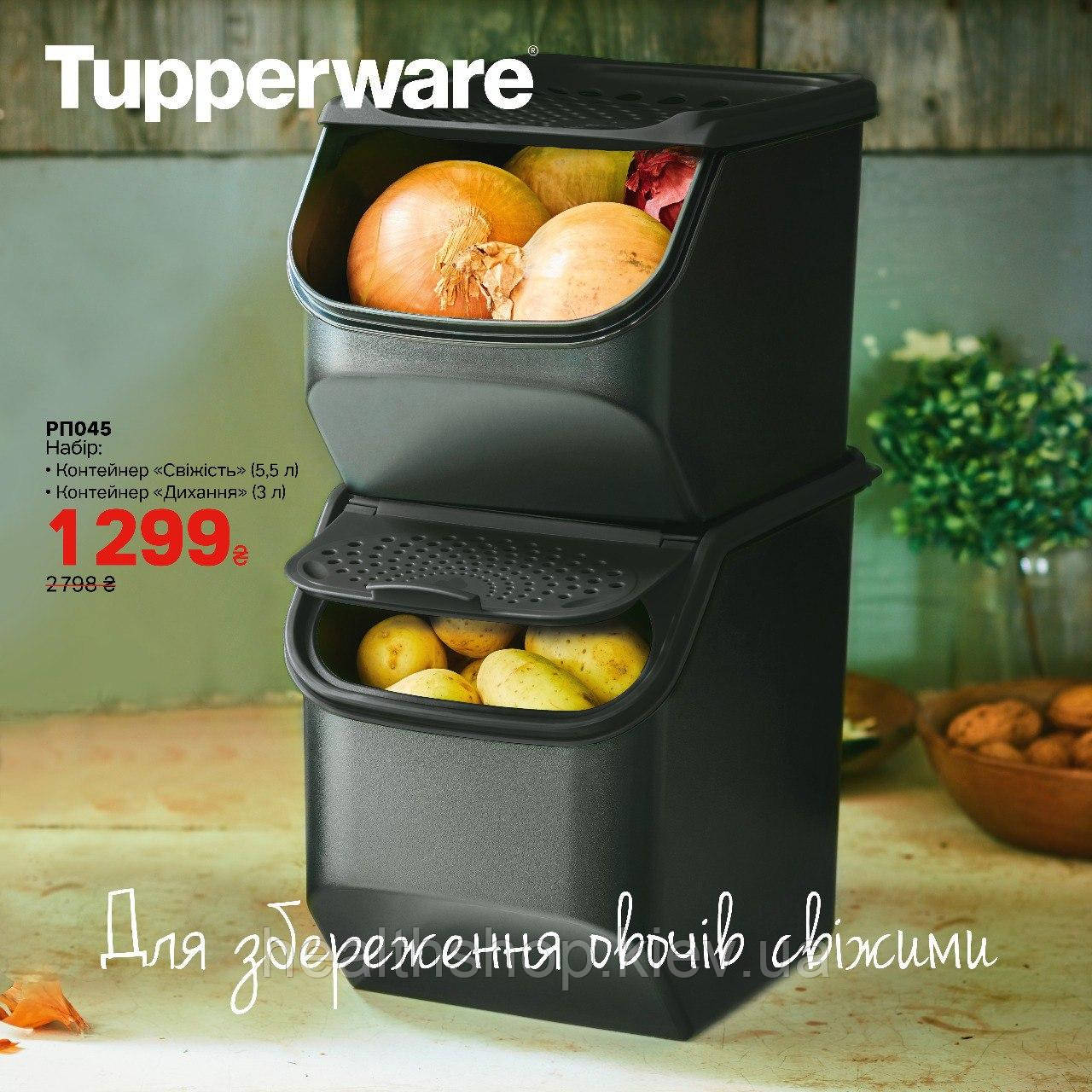 Контейнер Свіжість 5.5 л Tupperware