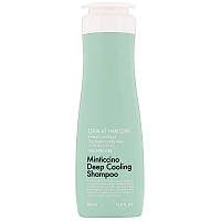 Шампунь для жирной кожи головы Daeng Gi Meo Ri Look At Hair Loss Minticcino Deep Cooling Shampoo