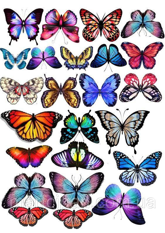 Метелики 11 асорті Вафельна картинка, фото 1