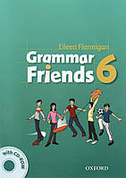 Family and Friends 6 Grammar Friends (2nd edition)