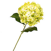 Декоративные искусственные цветы "Гортензия салатовая" 72 см